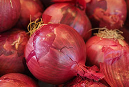 帮忙推荐手机号压测网站