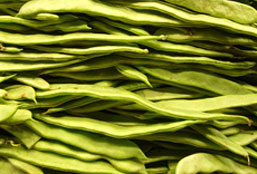 折扣特惠的手机号压测网站