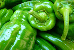 打爆别人短信的软件