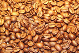 24小时呼叫轰炸神器